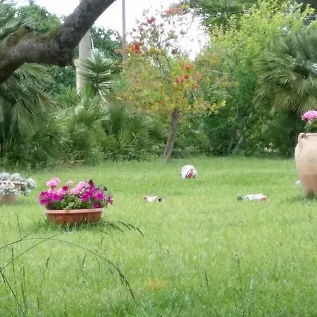 Appartement Trilocale C1 *